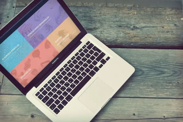 „Skijola“ – svetainė