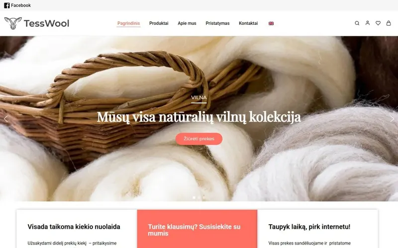 „Tess Wool“ – pirmas ekranas kompiuteryje