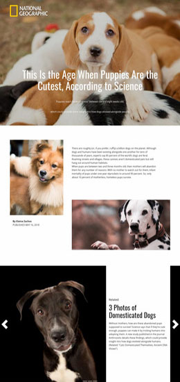 Gyvūnų ir gamtos internetinių svetainių šablonai