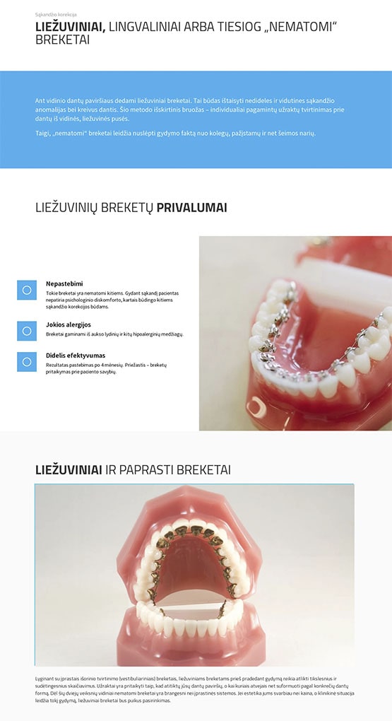 Разработка и создание сайтов Vilnius Dental Clinic